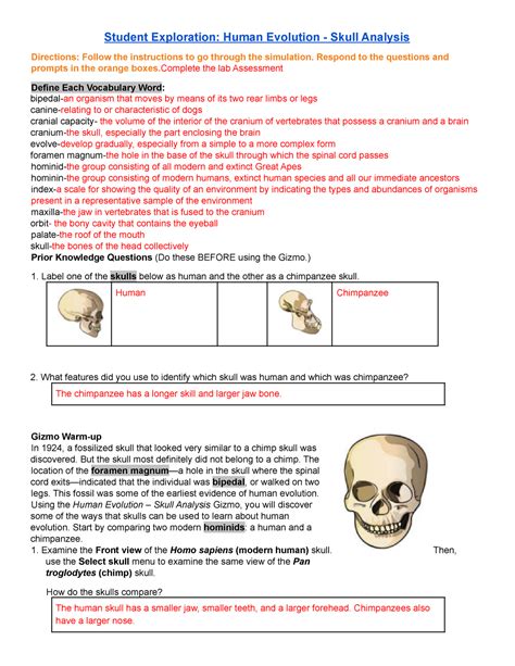 Human evolution gizmo answer key - Nov 20, 2019 · Students can investigate Homo floresiensis and other human relatives in the. Human evolution skull analysis gizmo answer key activity c, com-k2.ru Apes also have a much '''larger grinding surface on their molars''' to process leafy and fibrous plant material. Start by comparing two modern hominids: a human and a chimpanzee. 